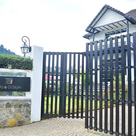 Unique Cottages Nuwara Eliya Ngoại thất bức ảnh